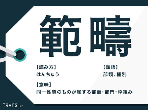 範疇先生|「範疇」の意味や使い方は？例文や類語を現役塾講師がわかりや。